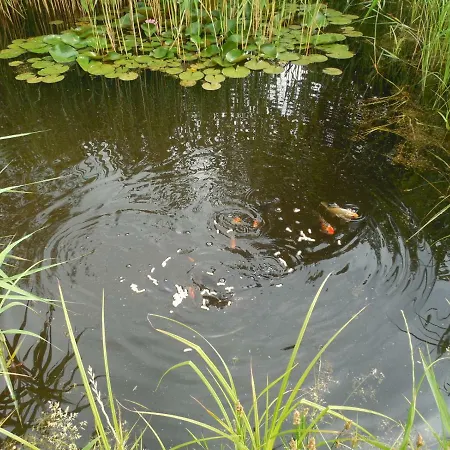 Lejlighed 20er Byhlen