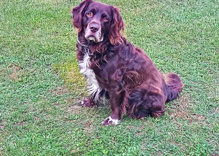 20er Lägenhet Byhlen